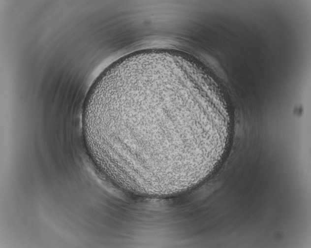 X0000112521226200909141215