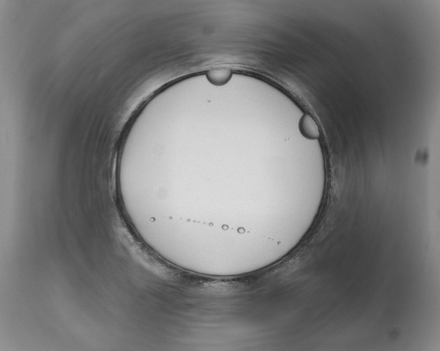 X0000112521227200909141215