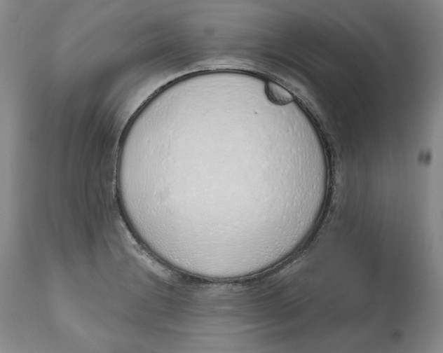 X0000112521228200909141215