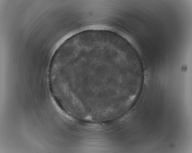 X0000112521229200909141215