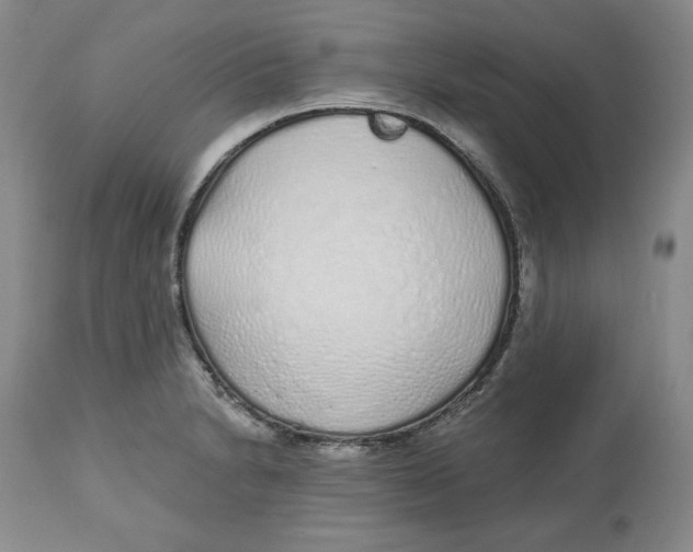 X0000112521230200909141215