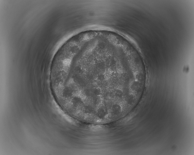 X0000112521231200909141215