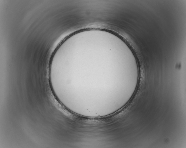 X0000112521232200909141215