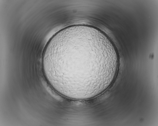 X0000112521234200909141215