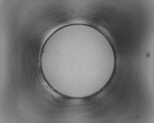 X0000112521236200909141215