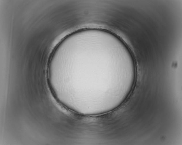 X0000112521237200909141215