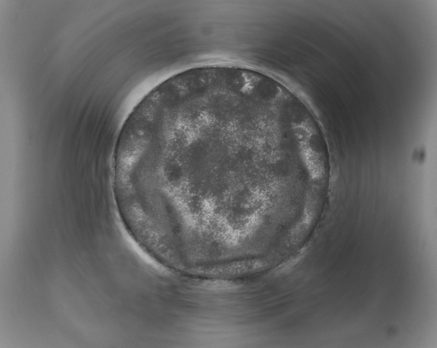 X0000112521239200909141215
