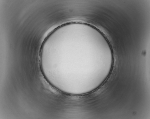 X0000112521240200909141215