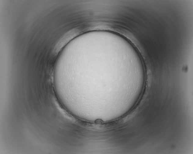 X0000112521241200909141215