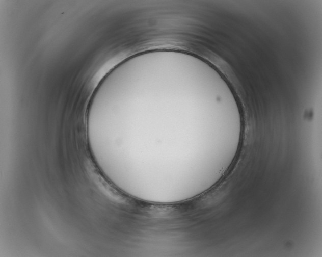 X0000112521242200909141215