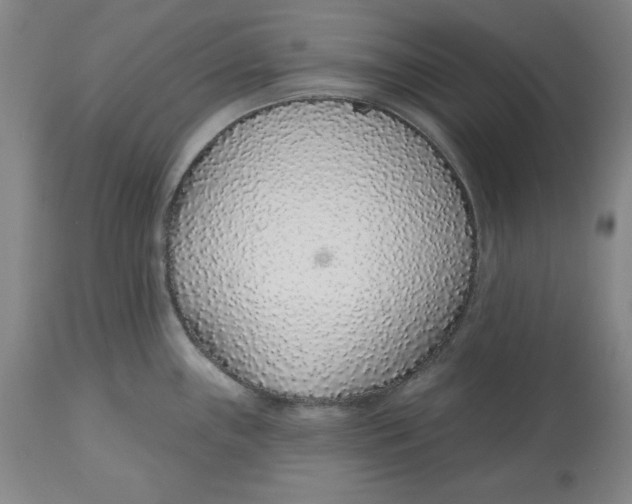 X0000112521243200909141215