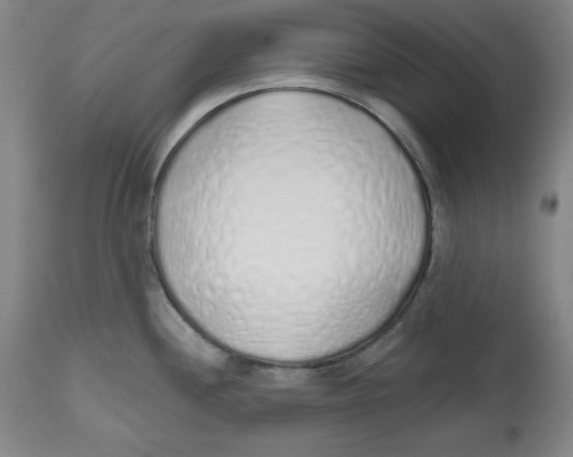 X0000112521244200909141215