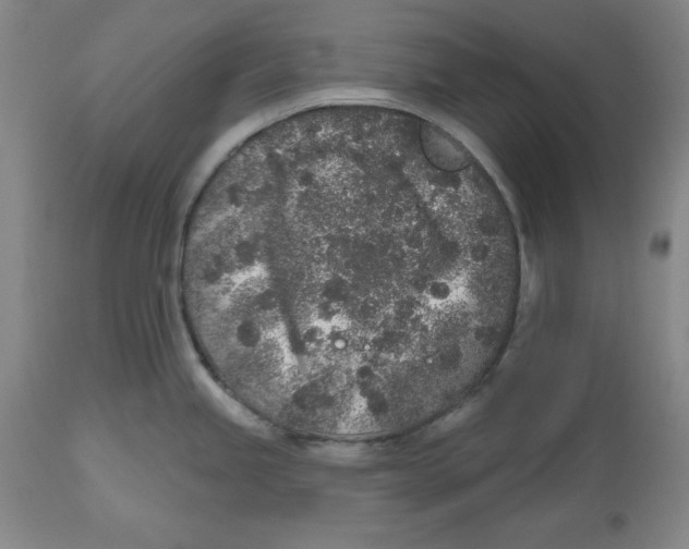 X0000112521245200909141215