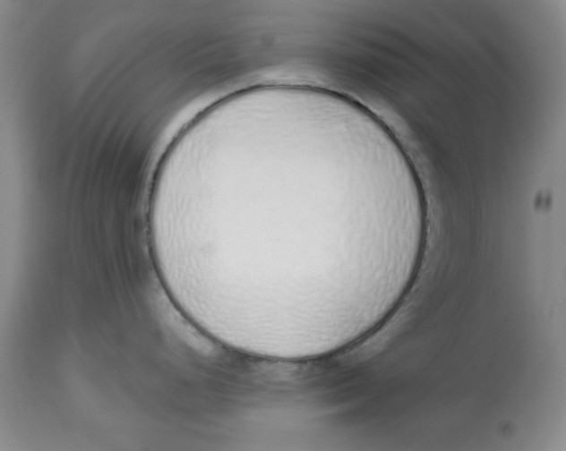 X0000112521248200909141215