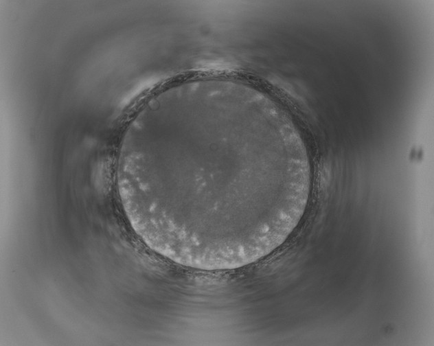 X0000112521254200909141214