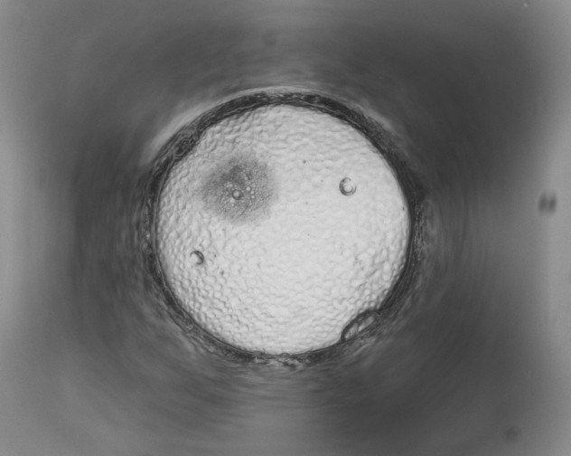 X0000112521255200909141214