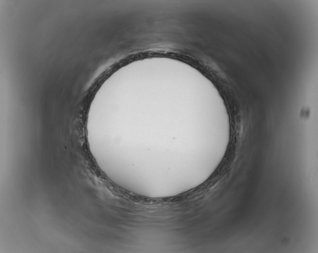 X0000112521256200909141214