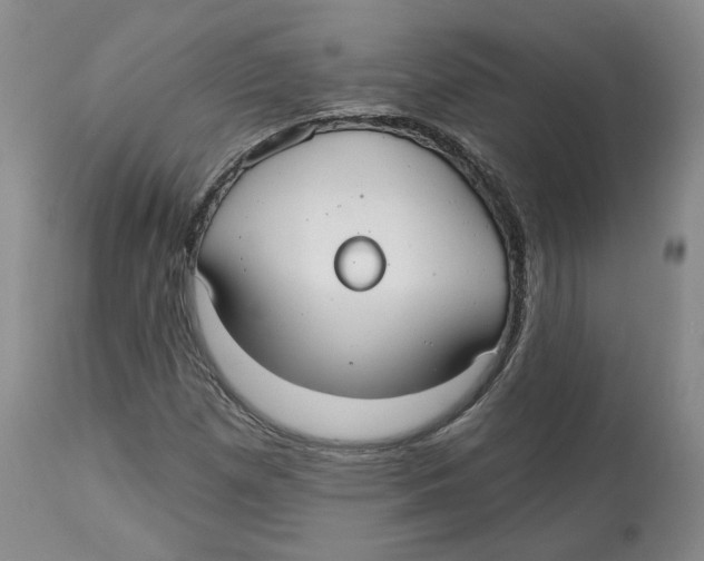 X0000112521257200909141214