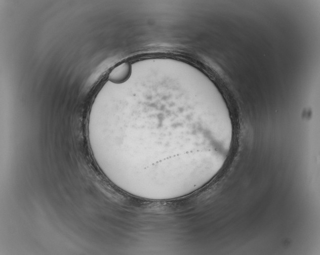 X0000112521259200909141214