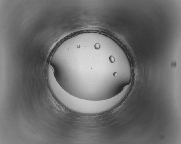 X0000112521260200909141214