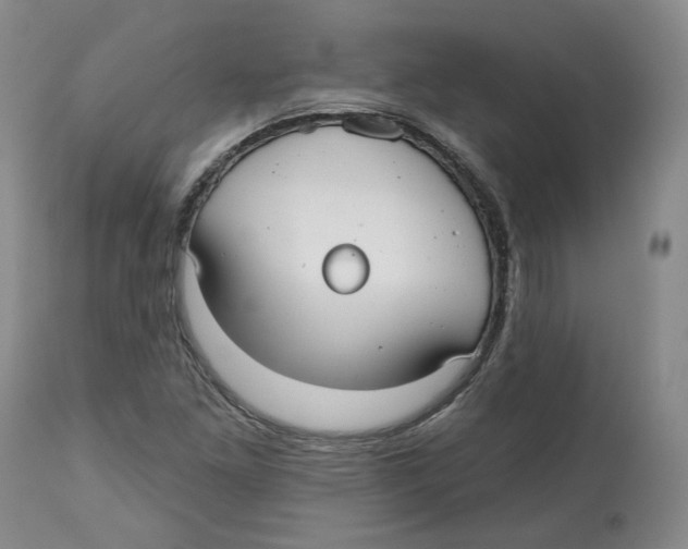 X0000112521261200909141214