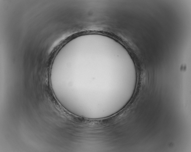 X0000112521262200909141214