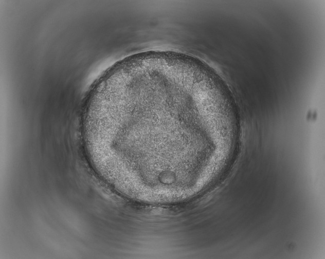 X0000112521263200909141214