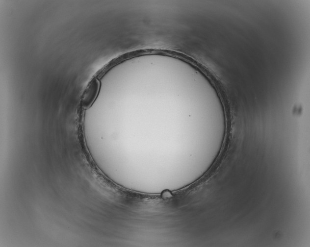 X0000112521264200909141214