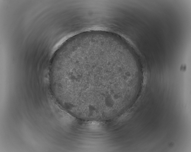 X0000112521266200909141214