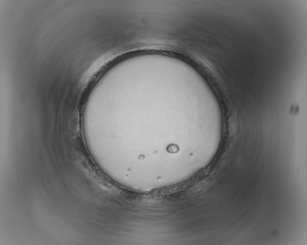 X0000112521267200909141214