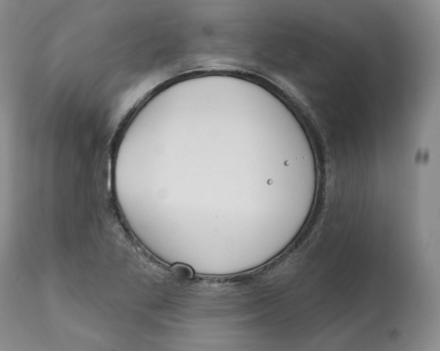 X0000112521269200909141214