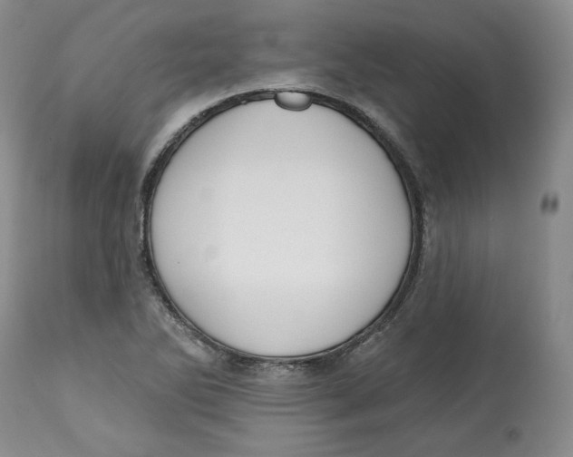 X0000112521270200909141214