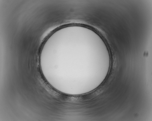 X0000112521271200909141214