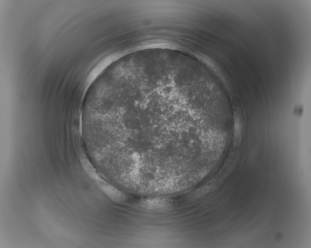X0000112521274200909141214