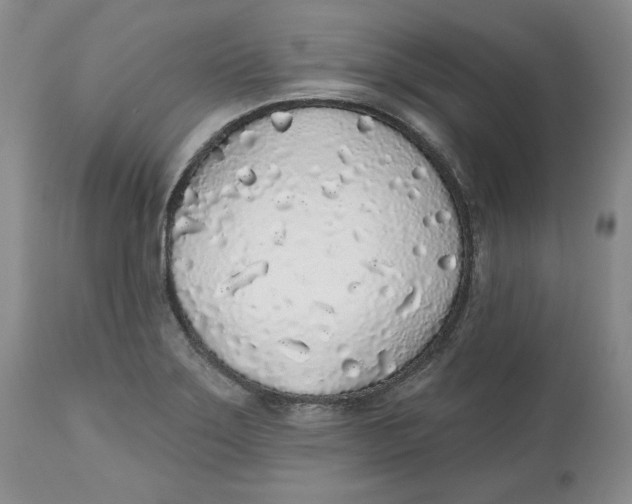 X0000112521275200909141214