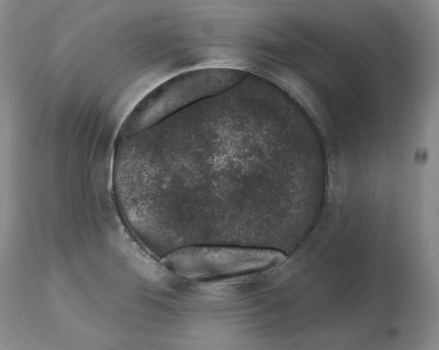 X0000112521276200909141214