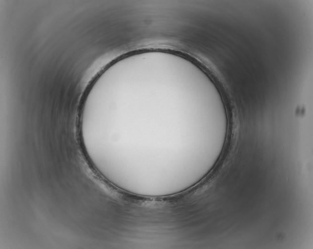 X0000112521277200909141214