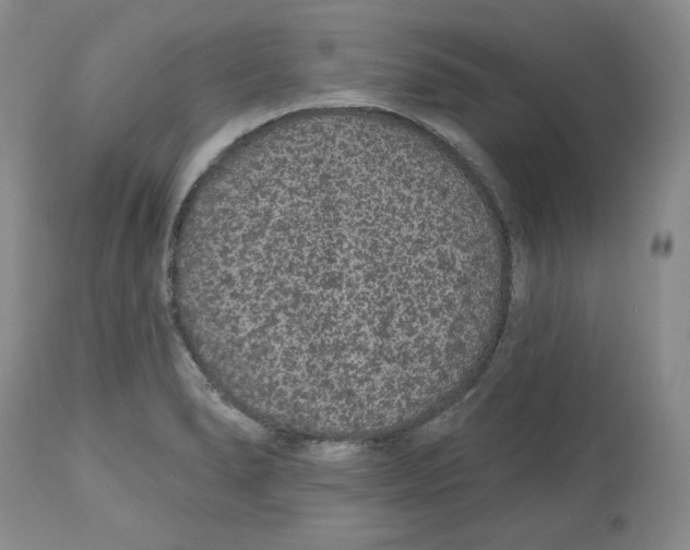 X0000112521278200909141214