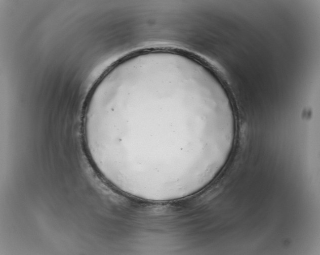 X0000112521279200909141214