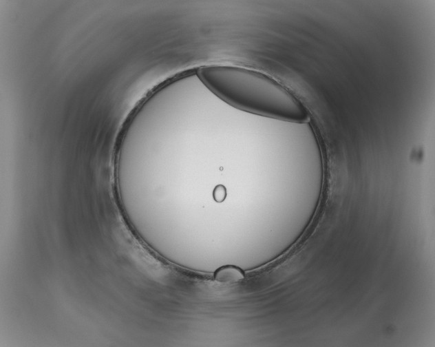 X0000112521280200909141214