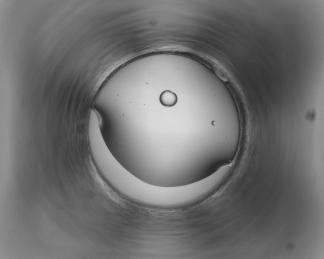 X0000112521281200909141214