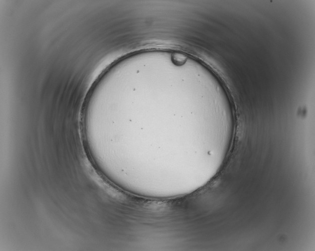 X0000112521283200909141214