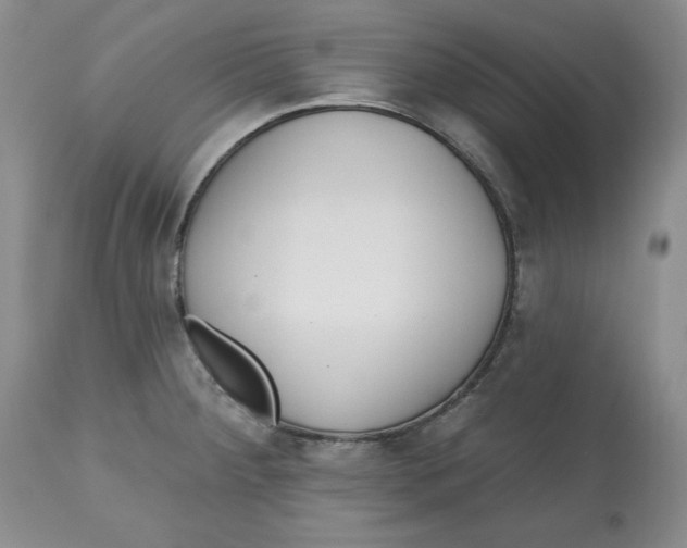 X0000112521284200909141214