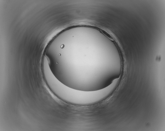 X0000112521285200909141214