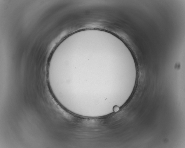 X0000112521286200909141214