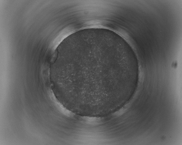 X0000112521289200909141214