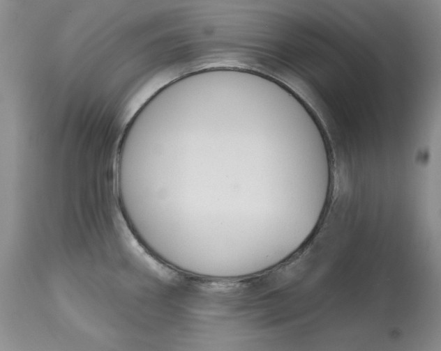 X0000112521290200909141214