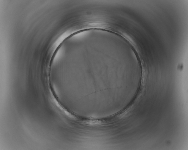 X0000112521291200909141214