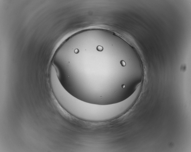 X0000112521292200909141214