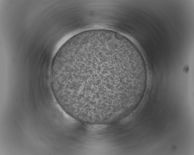 X0000112521294200909141214